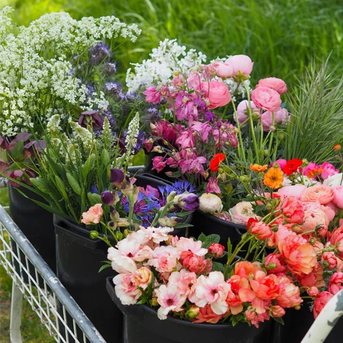 DIY Buckets and Weddings